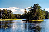 Punkaharju, Savonlinna. La zona nei pressi di Lusto, il museo della foresta finlandese. 